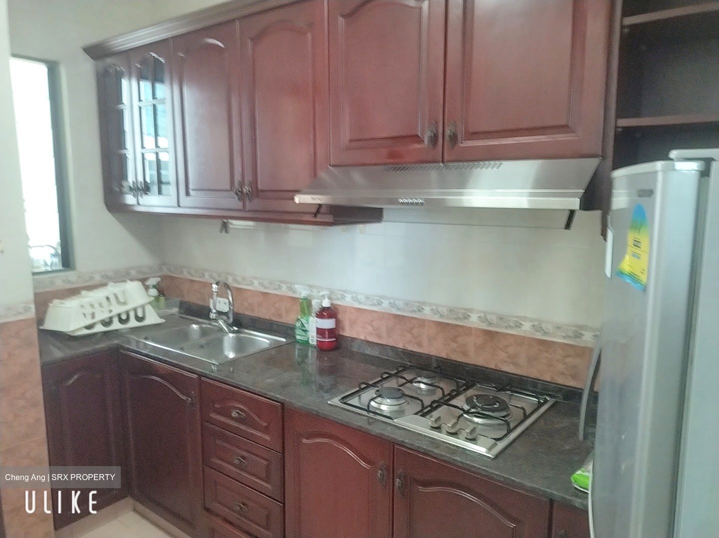 Tanglin Regency (D10), Condominium #602068401